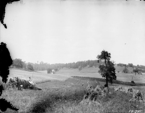 Landscape view across field with shocks of grain and a tree. On the left is a man using a horse-drawn binder. In the background is a hill.