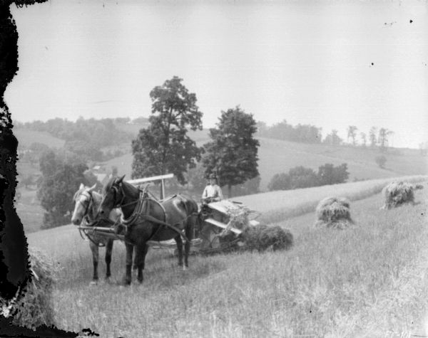 Three-quarter view from front left of a man using a horse-drawn binder on top of a hill. In the background is a valley and farm buildings below. Shocks of grain are behind the binder on the right.