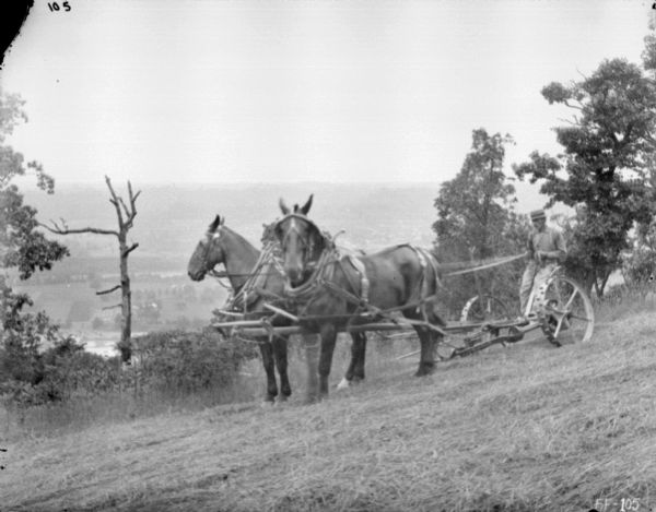 View looking down towards a man using a horse-drawn mower on a hill. Behind the horses are trees and bushes below on the edge of the hill. Far below on the valley bottom are farms and a town.