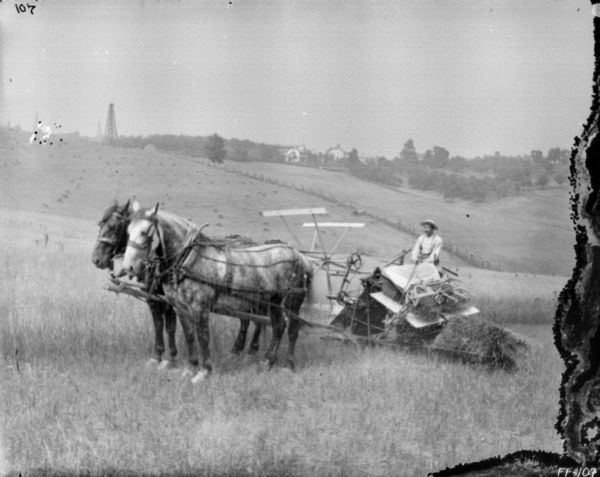 View down hill towards a man using a horse-drawn binder. The horses are wearing fly-nets. In the background are shocks of grain dotting a field, and oil wells and buildings on a hill on the horizon.