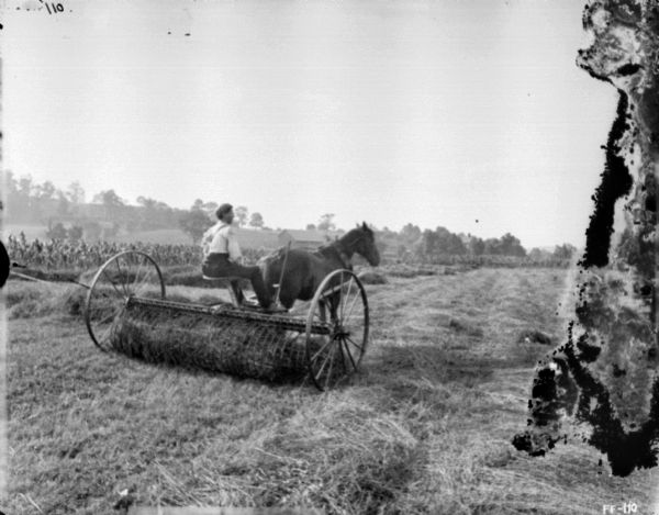 Man Using Horse-Drawn Dump Rake | Photograph | Wisconsin Historical Society