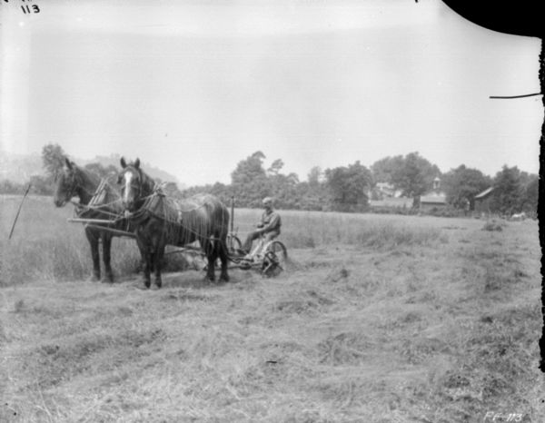 Three-quarter view from front left of a man using a horse-drawn mower in a field. The horses are wearing fly-nets. In the background are farm buildings among trees.