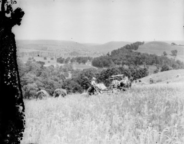 View looking down hill towards a man using a horse-drawn binder. Shocks of wheat are in the field. Below is a valley, with trees, fields, and a town in the distance.
