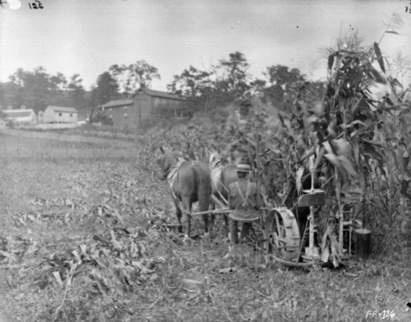 Rear view of a man using a horse-drawn corn binder in a cornfield. On the hill in the background are farm buildings.