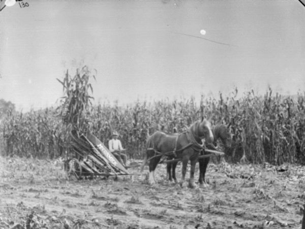 View across harvested field of a man using a horse-drawn McCormick corn binder in a cornfield. The corn is in a strange position in the binder, possibly for a demo of the operation.