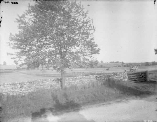 View across road towards stone walls, with a gate, which run along the road, and through a field towards the left. A man is using a horse-drawn plow in the field on the right.