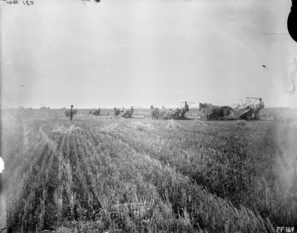 View across harvested field towards men using horse-drawn binders in a field. Farm buildings are in the far background on the left.