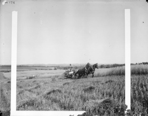 View across field towards a man using a horse-drawn binder. In the background are more fields and low hills.
