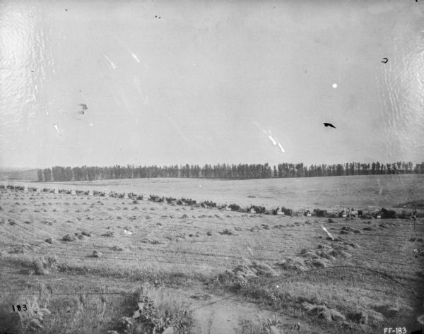 View across field of harvested grain towards approximately 20 or more horse-drawn binders. In the far background are trees and hills.