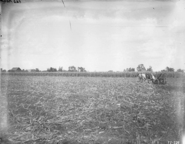 View across harvested field towards a man using a horse-drawn corn binder. Farm buildings are in the background on the left.