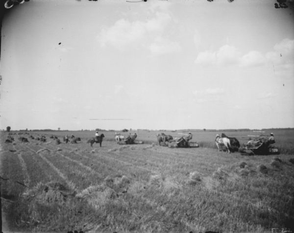 View across harvested section of field towards three men using horse-drawn binders. Other men are standing in the field, and another man is on horseback.