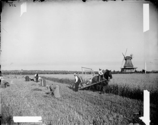 Slightly elevated view of a man and a young boy using a reaping and rowing machine. The boy is sitting on the horse pulling the machine. A number of men and women, along with a dog, are standing and working in the field with the cut grain. There is a windmill in the background.