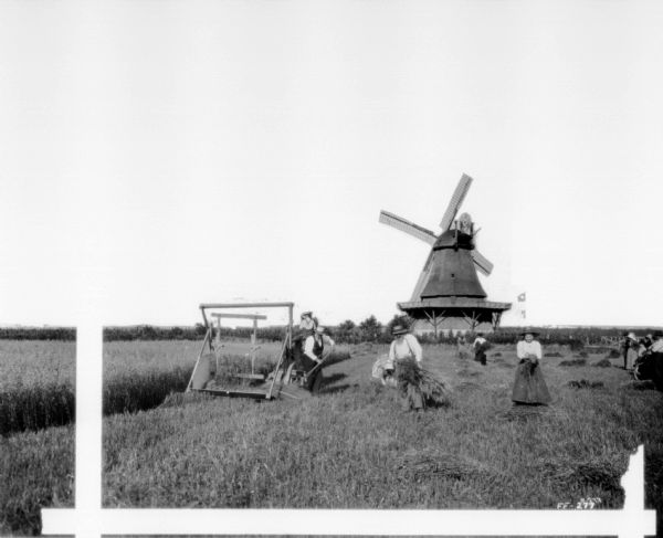 View across field towards a man and young boy using a horse-drawn reaping and mowing machine. Men and women work in the field with the harvested grain. In the background is a windmill.