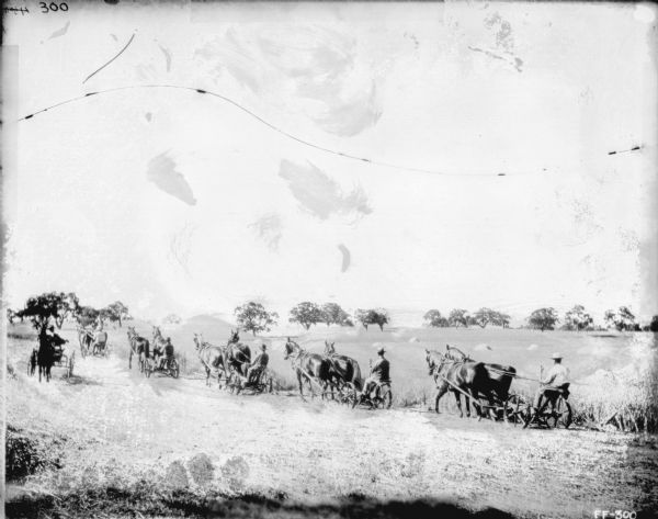 View from rear of five men, each using a horse-drawn mower in a staggered line in a field. On the left, a man who is supervising drives a horse-drawn buggy in the opposite direction.