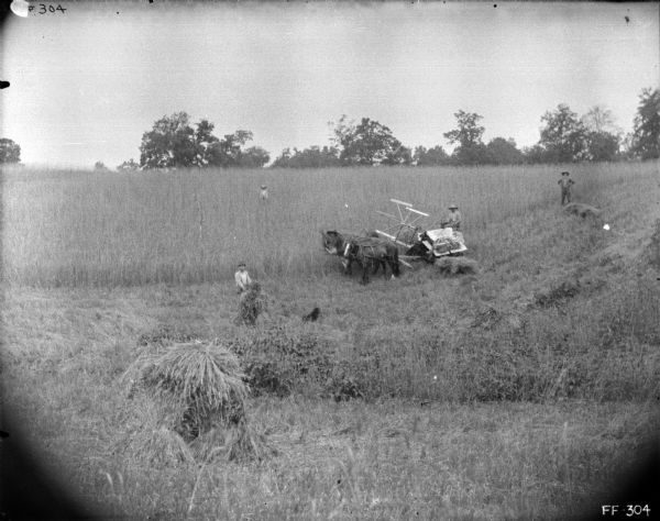 Elevated view of a man using a horse-drawn binder along a hillside. Three other men and a dog are posing standing in the field around the binder.