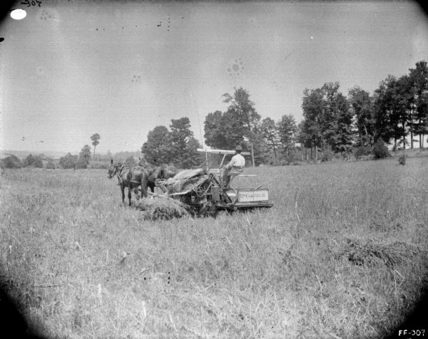 Three-quarter view from rear across field of a man using a horse-drawn binder.