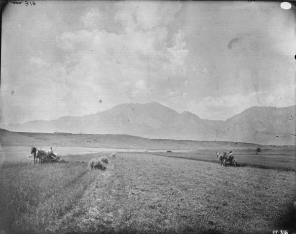 View across field, with mountains in the distance. On the left is a man coming down the field driving a horse-drawn binder. A man on the right appears to be using a horse-drawn mower.
