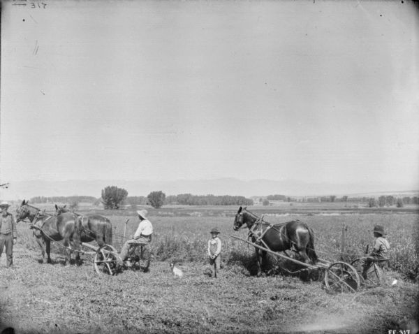 View of a man standing in a field on the left near a man using a horse-drawn mower. On the right a young boy is using another horse-drawn mower. A small dog, sitting, and a young boy, standing, are in the center between the two mowers.
