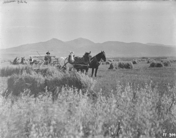 Three-quarter view from front right of a man using a horse-drawn binder in a field. Another man in the background is driving a horse-drawn buggy. In the far distance are mountains.