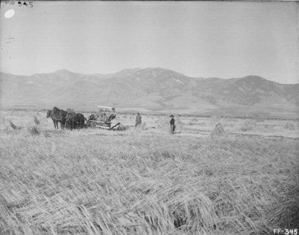 View across field towards a man using a horse-drawn mower. Two men are standing nearby. Mountains are in the far distance.