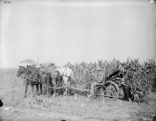 Left side view of a man using three horses to pull a horse-drawn corn binder in a cornfield. A farmhouse is in the background.