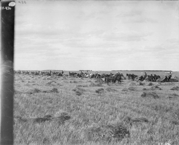 View across harvested field towards eleven horse-drawn binders in a row in a field. In the center foreground is a man in a horse-drawn buggy among piles of harvested grain.