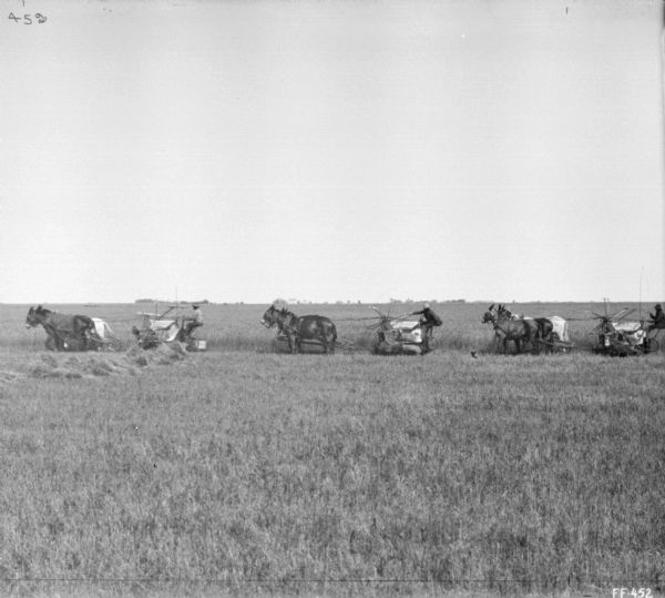 View across field towards three men in a row using horse-drawn binders.