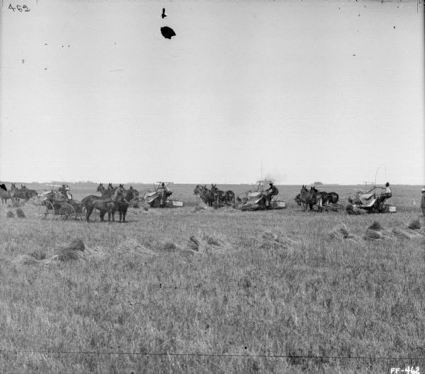 View across field of four men using horse-drawn binders in a field. In front of the binders a man and woman are sitting in a horse-drawn buggy.