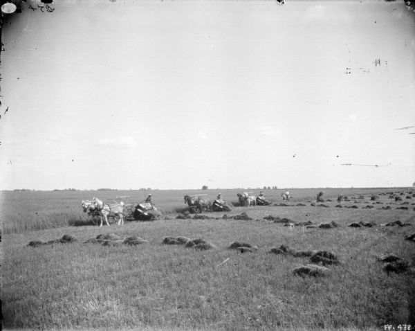 View across field towards three men using horse-drawn binders in a field. Another man rides a horse behind the binders. In the foreground piles of grain are laying in the field.