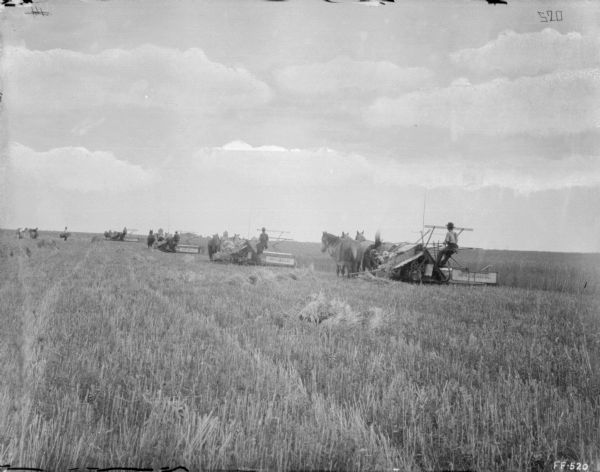 View down field towards men on horse-drawn McCormick binders working in a line harvesting grain. On the left in the distance, other workers are gathering the grain.