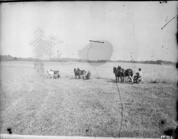 View across mowed field towards three men in a line using horse-drawn mowers.