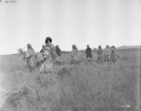 Group of men in a field reaping by hand.