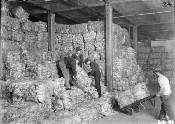 View indoors of men stacking bales of manila.