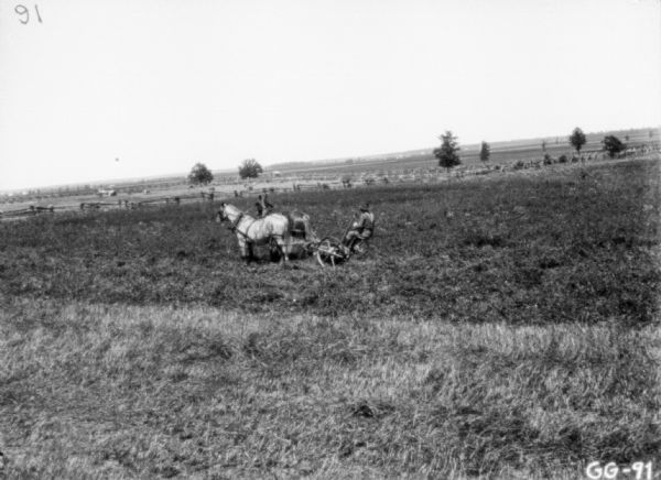 View across field towards a man using a horse-drawn mower. Fences and fields are in the distance.
