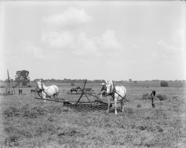 Adapted Haying Operation with Sweep Rakes | Photograph | Wisconsin ...