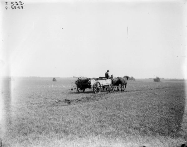 View across field towards a man using a horse-drawn manure spreader.