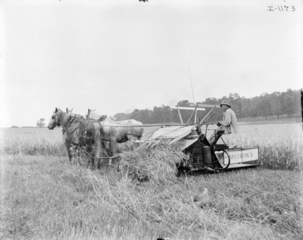 Man Using Horse-Drawn Binder | Photograph | Wisconsin Historical Society