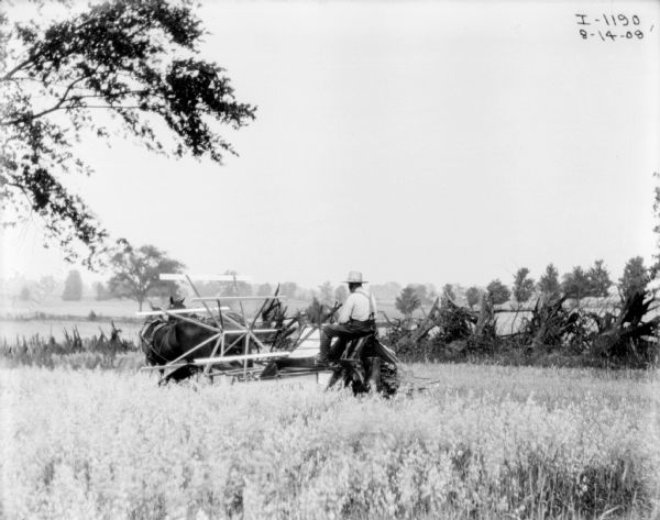 View across field of tall grain towards a man using a horse-drawn binder. The fence along the field is made of tree trunks with their roots.