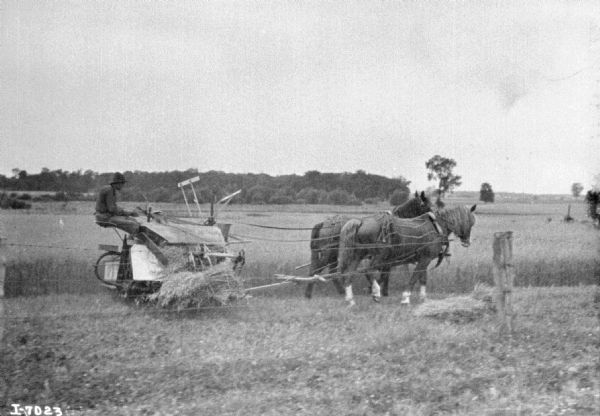 Right side view of a man using a horse-drawn Deering binder in a field. The horses are wearing fly-nets. There is a fence in the foreground.