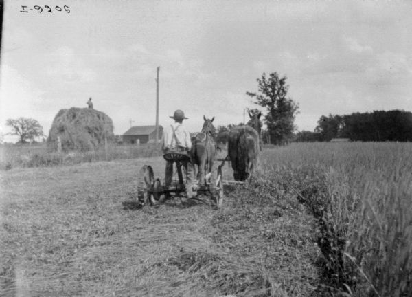 Rear view of a man using a horse-drawn mower om a field. In the background on the left is a fence, and beyond a man is standing on top of a large haystack. Farm buildings are in the far background.
