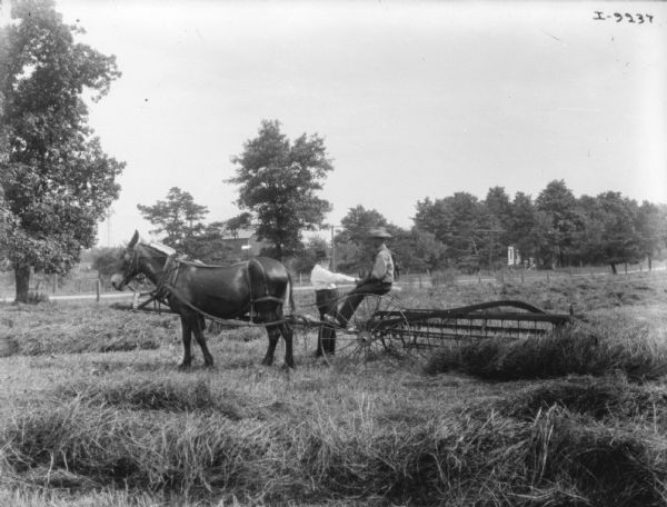 Left side view of a man sitting on a horse-drawn dump rake. Another man is standing behind him. Farm buildings are across a road in the background.