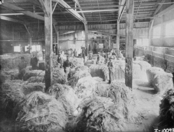Elevated view of men posing in a hemp or manila warehouse.