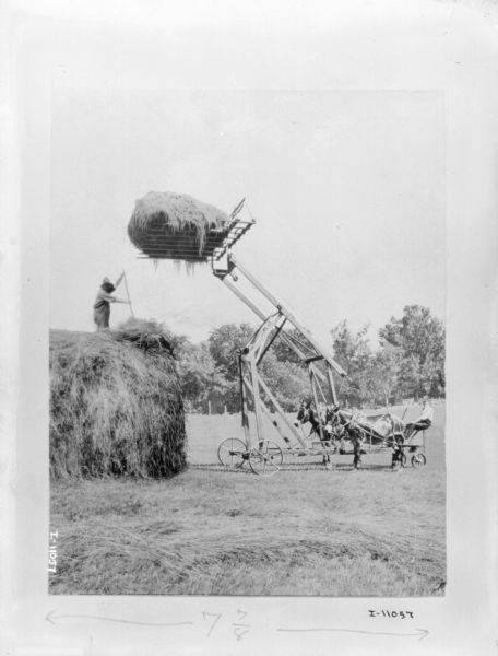 View across field towards men using a hay loader. On the left a man is standing on top of a large haystack moving the hay into place. Another man is sitting operating the horse-drawn hay loader, which is loaded with hay and is suspended high over the haystack.