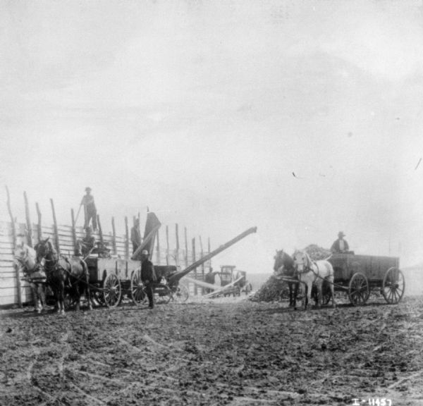 View across field towards men using a horse-drawn thresher. They are near a tall fence on the left. On the right is a man with a horse-drawn wagon.