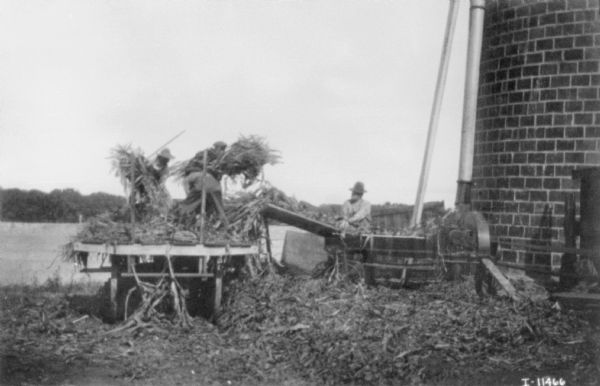 Men are working with an ensilage cutter near a silo. Two men are standing on a wagon on the left putting silage into the cutter. Another man is standing near the cutter.