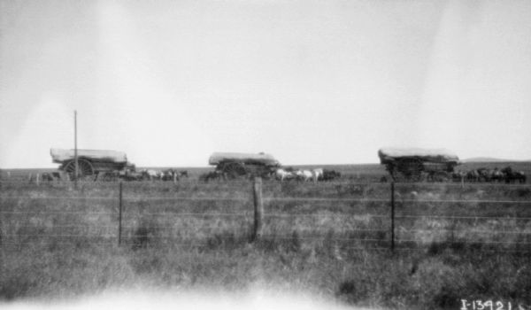 View across fence and field towards three large, horse-drawn wagons loaded with supplies.