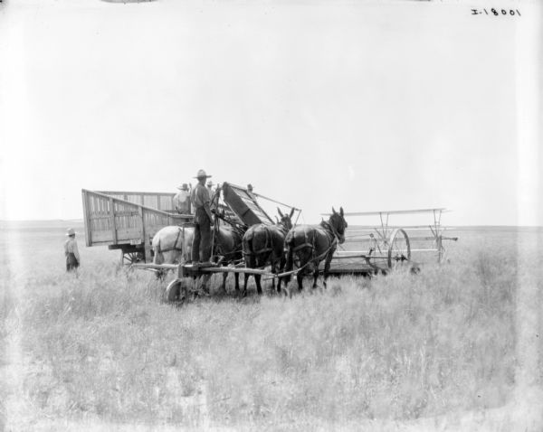 View across field towards a man standing on the back of a horse-drawn push binder header. Three other men are standing in a wagon with slanted sides in the background on the left.