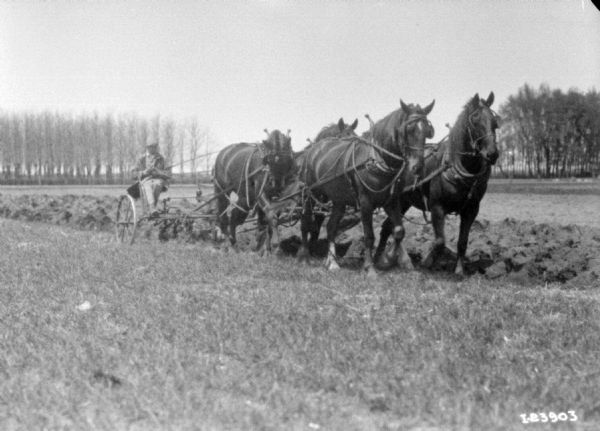 Man using a team of four horses to plow a field.
