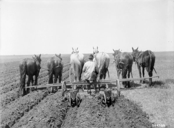 Rear view of a man driving a team of six horses to pull a planter in a field.
