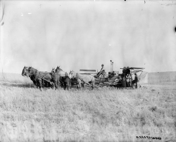 View across field towards a man driving a horse-drawn harvester thresher. Another man is sitting on the thresher.